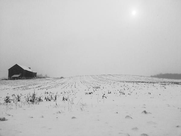 Snowing on Sunningdale